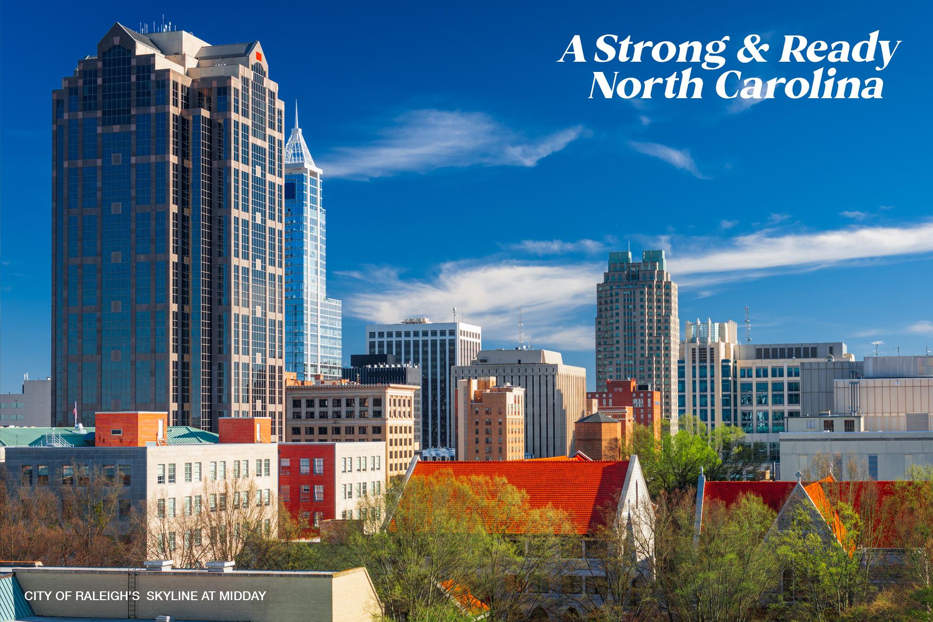 city-of-raleigh-at-midday