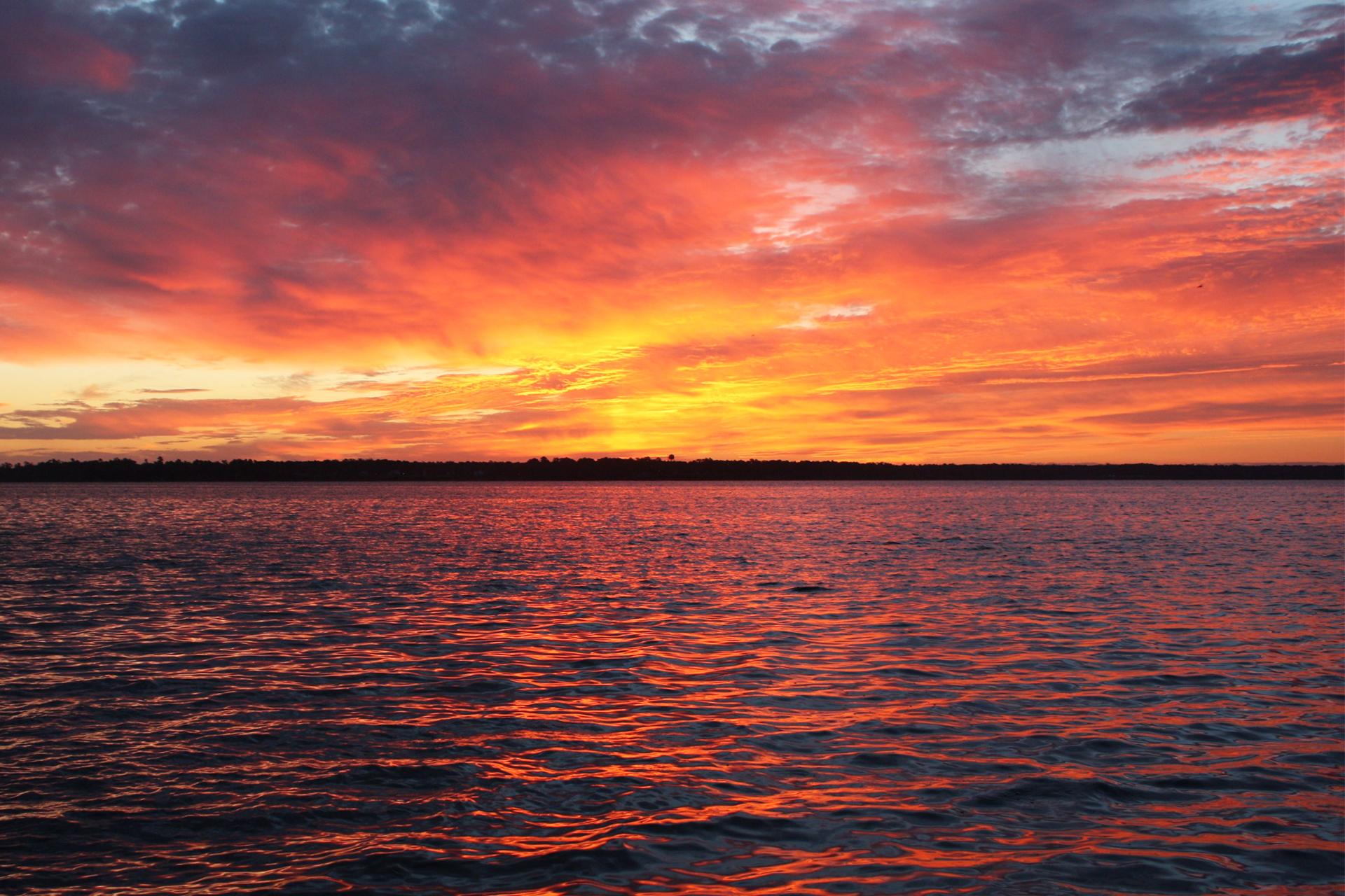 Vote Early in Person Carolina Leader
