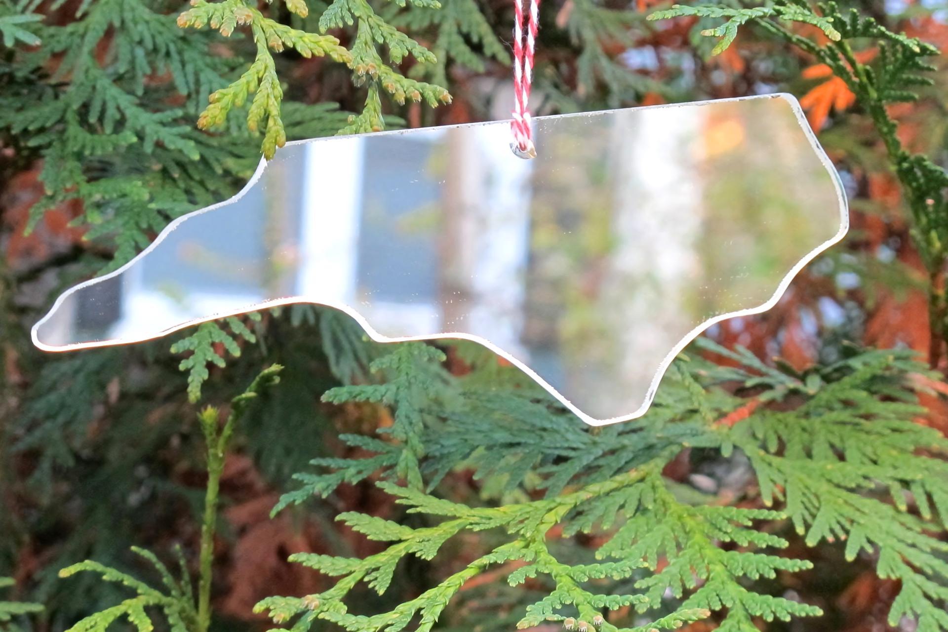 A Symbol of Resilience and Hope: White House Christmas Tree Chosen From ...